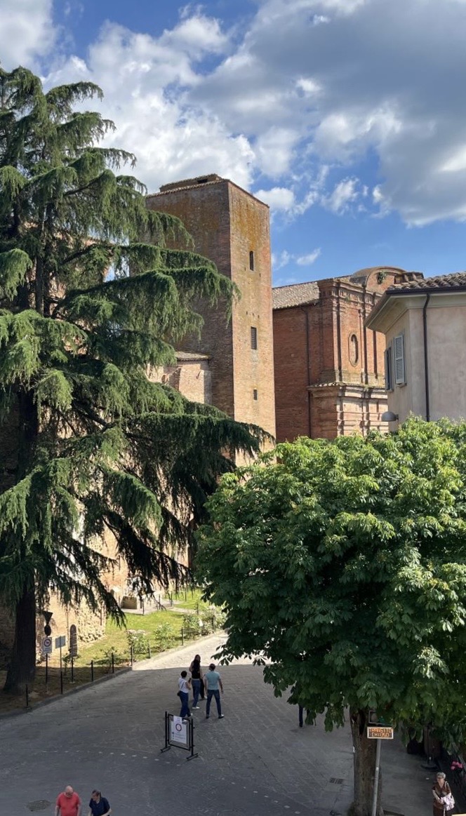 La rocca Medievale